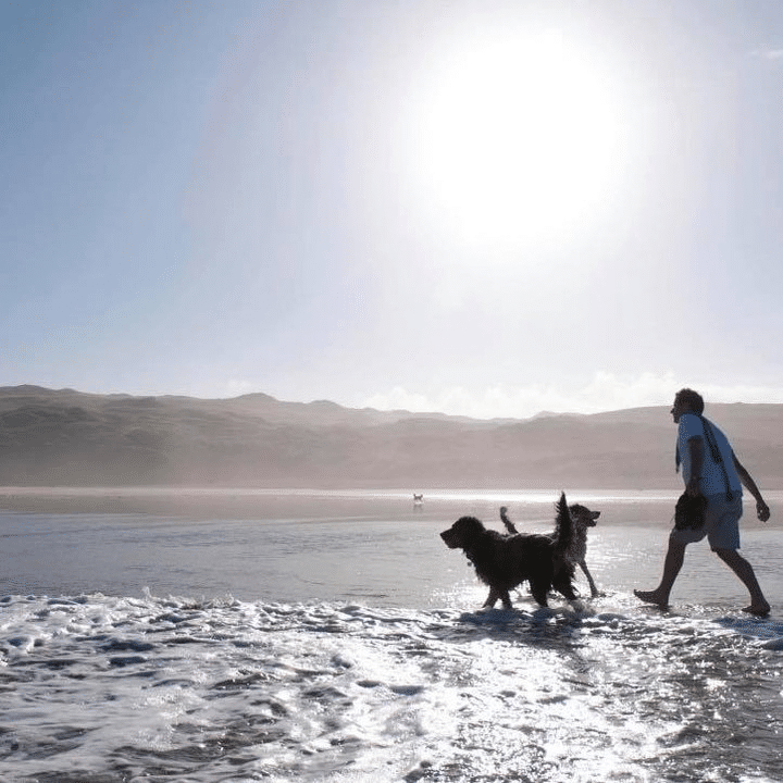 Top Dog-Friendly Beaches in North Cornwall UK