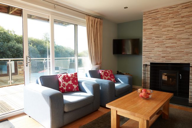 Living room with log fire